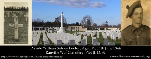 In Memoriam... Private William Sidney Pooley...